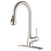 Single Handle Pull Down Kitchen Sink Faucet